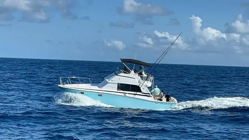 Bertram 40 Ft, foto 1
