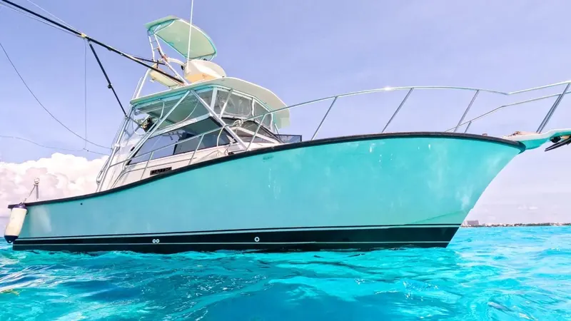 Bertram 35 ft, foto 2