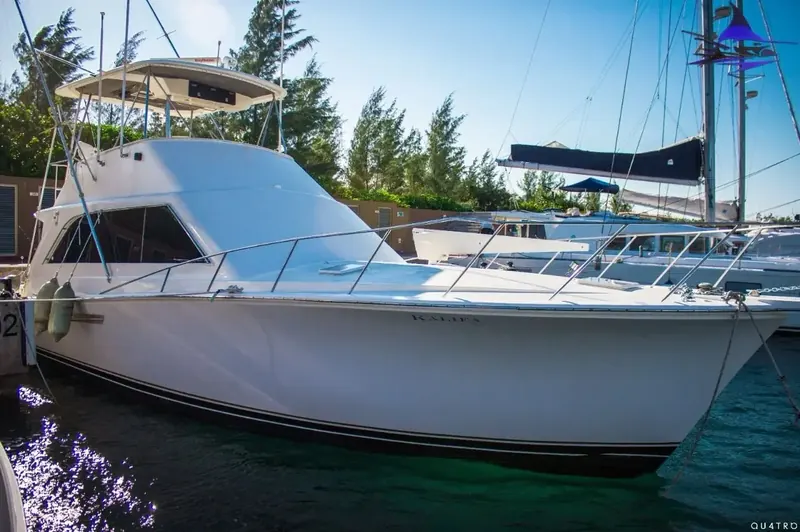 Ocean Yacht 48 Ft, foto 1