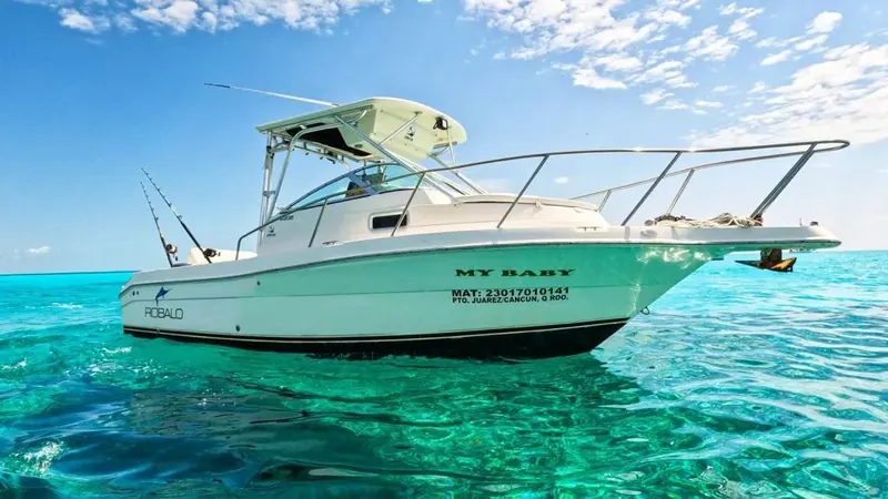 Charter 26 Ft, foto 1
