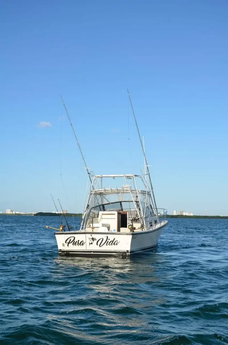 BERTRAM 35 Ft, foto 2