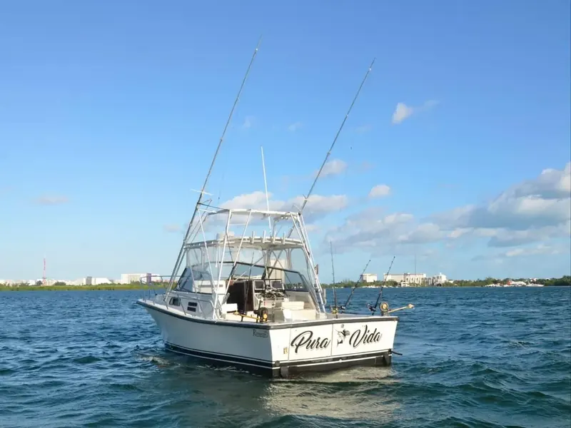 BERTRAM 35 Ft, foto 7