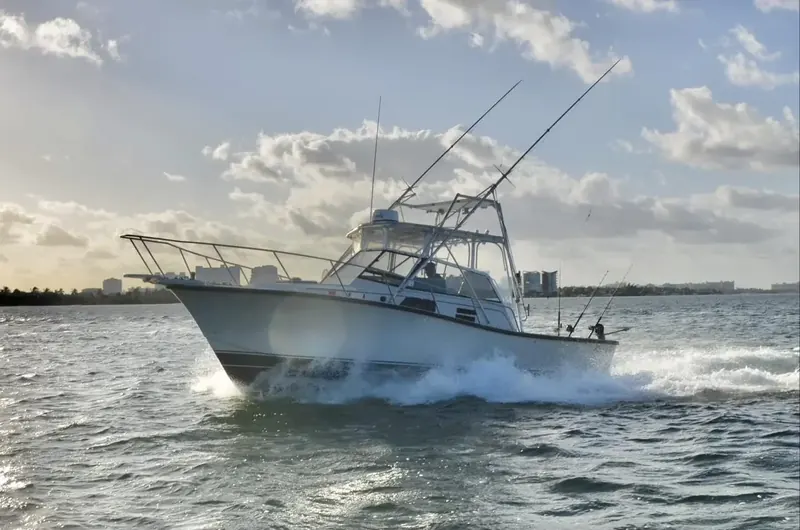BERTRAM 35 Ft, foto 3
