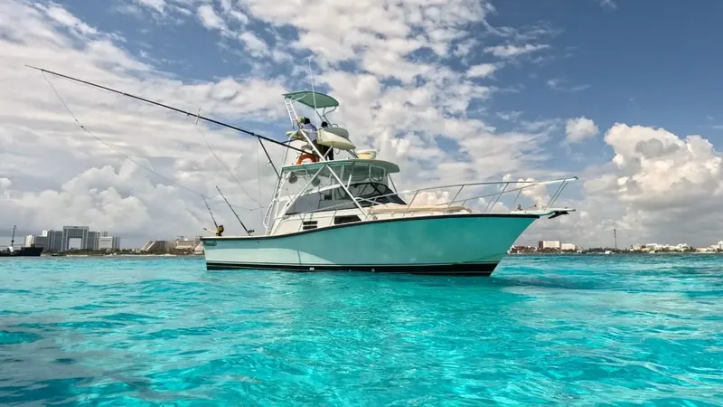 Bertram 35 ft, foto 8