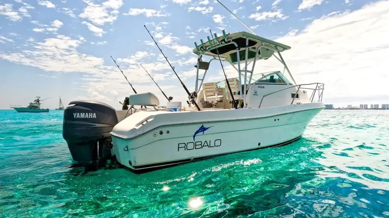 Charter 26 Ft, foto 3