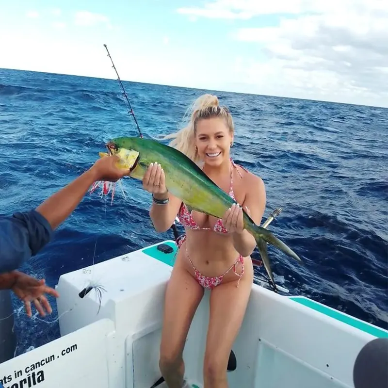 CHARTER 26ft, foto 5