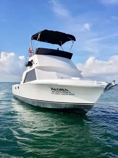 BERTRAM 31 · pesca privada