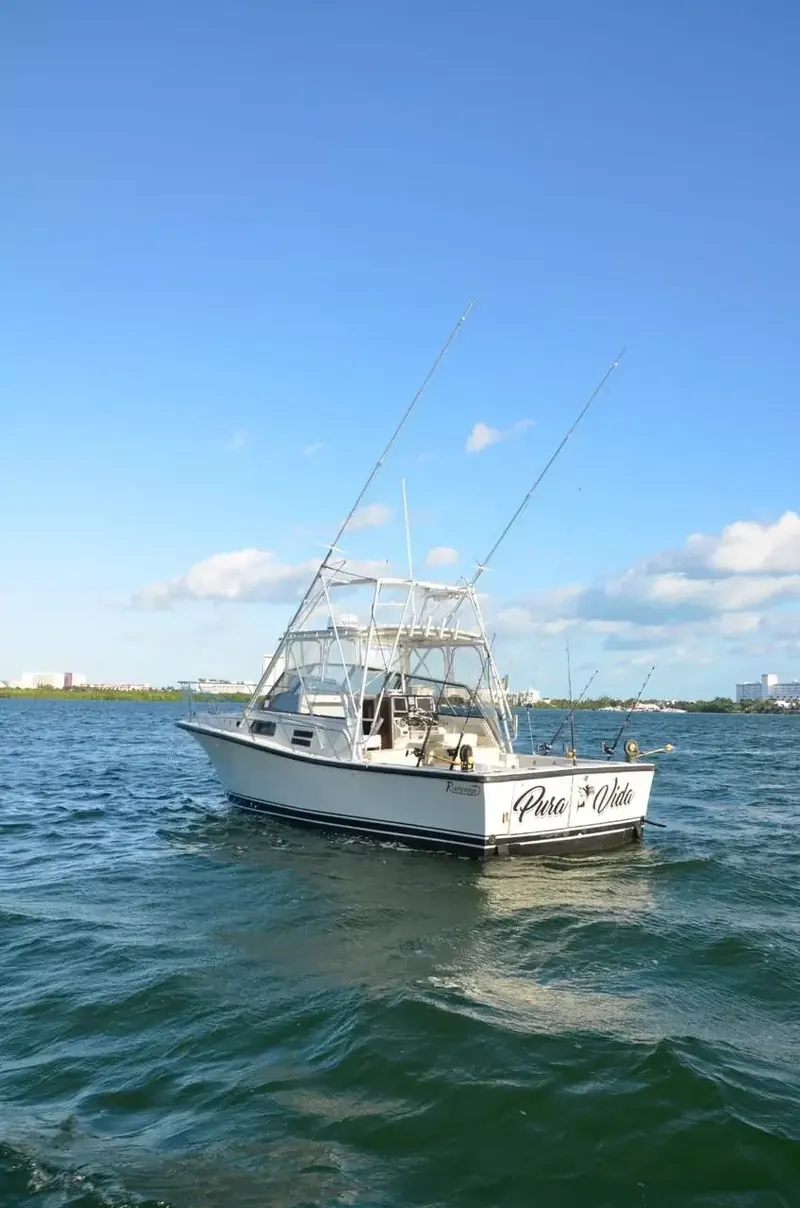 BERTRAM 35 Ft, foto 6