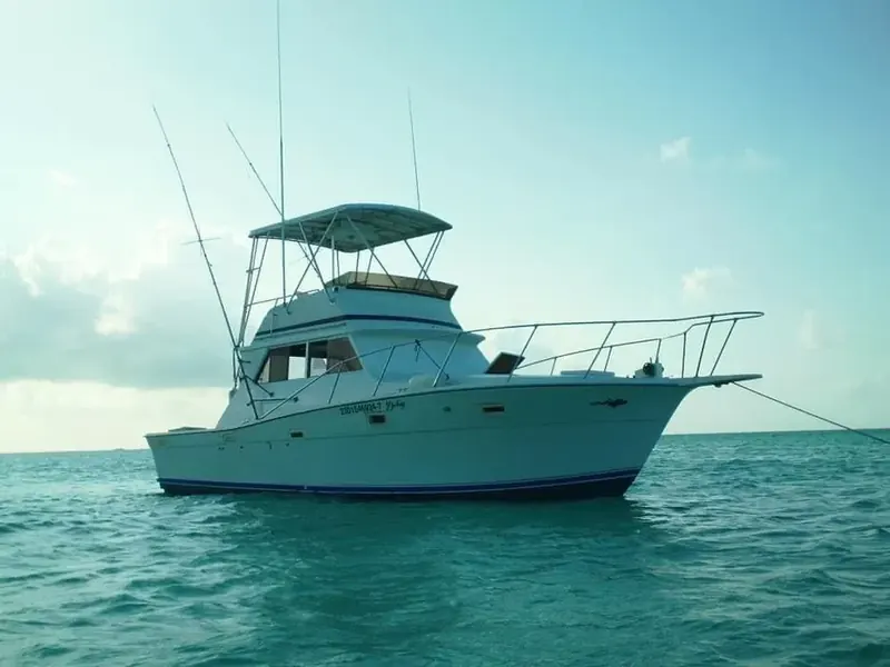 Viking 35 Ft, foto 1