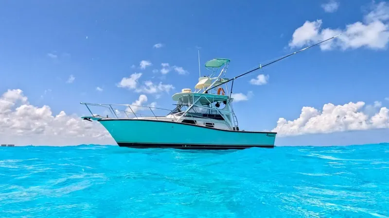 Bertram 35 ft, foto 1