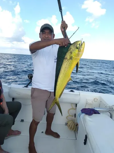 Charter 26 Ft, foto 9