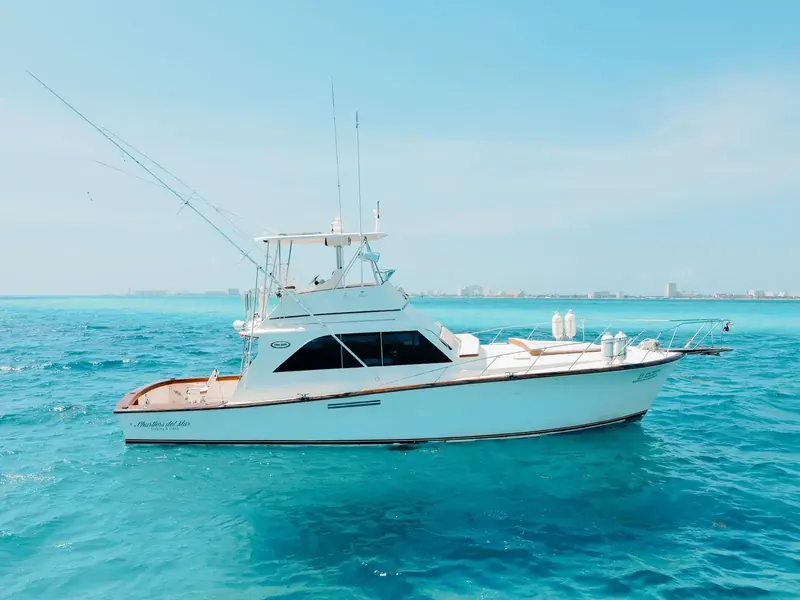 Hatteras 46, foto 8