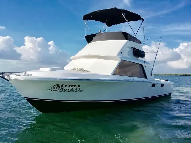 BERTRAM 31, foto 5