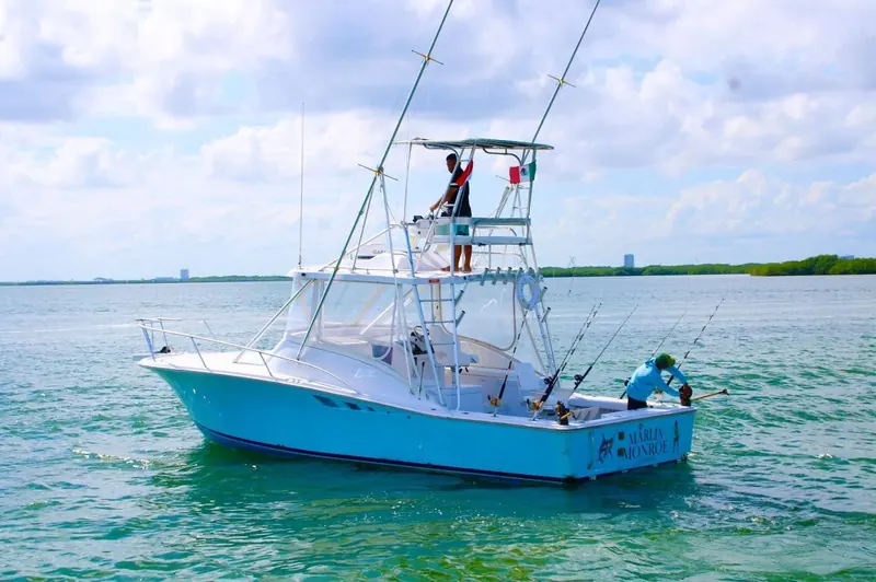 Bertram 32 ft, foto 12