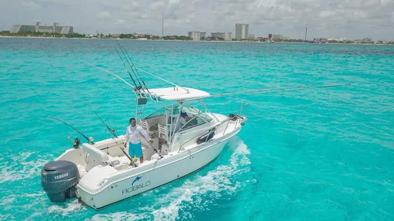 Charter 26 Ft, foto 4