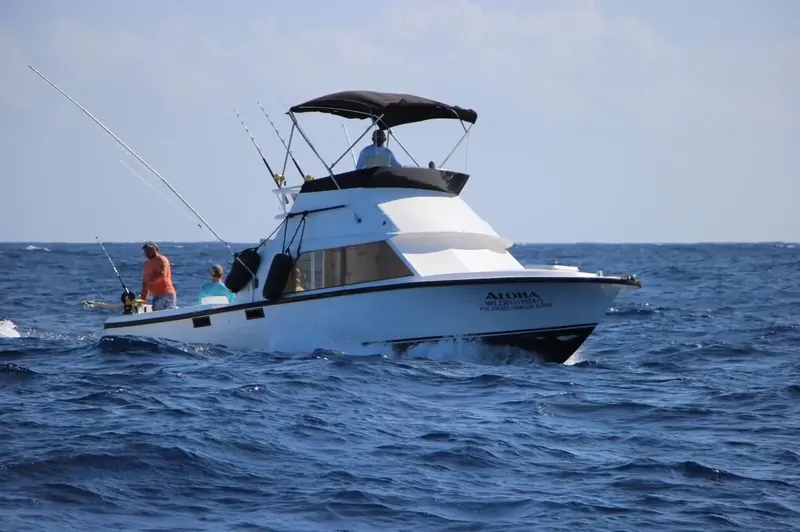 BERTRAM 31, foto 7