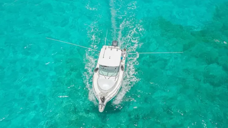 Charter 26 Ft, foto 8