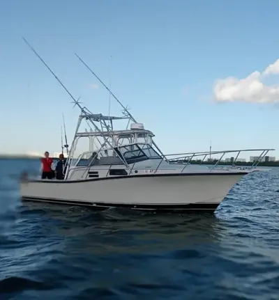 BERTRAM 35 Ft, foto 4