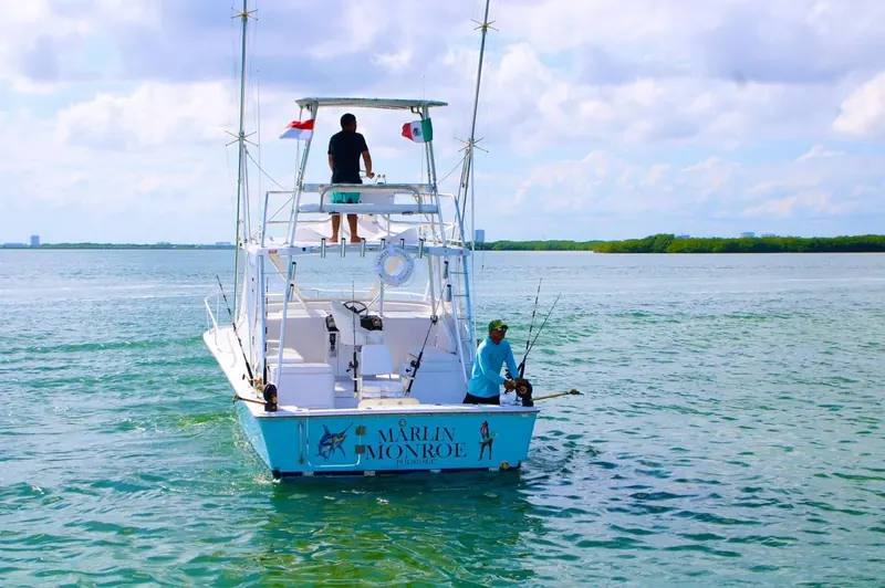 Bertram 32 ft, foto 10