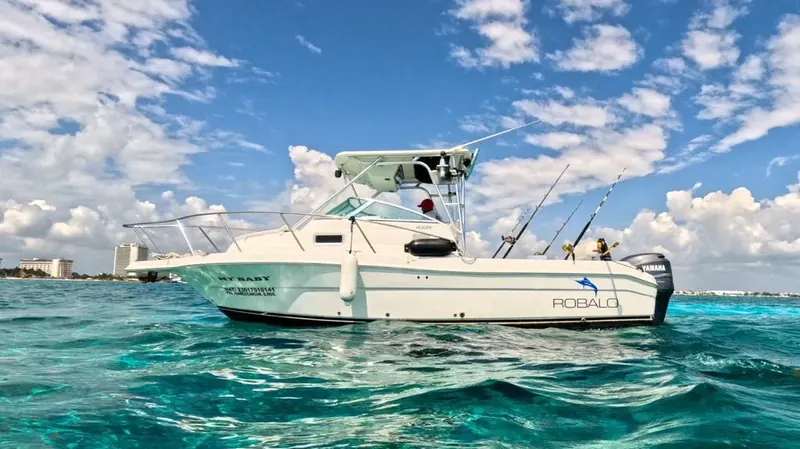 Charter 26 Ft, foto 12