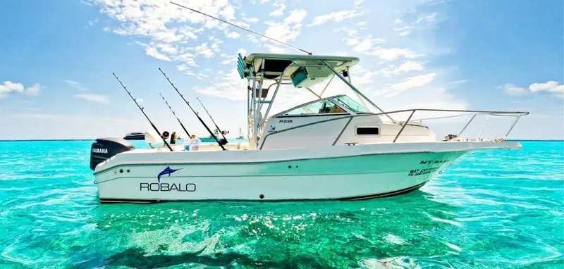 Charter 26 Ft, foto 2