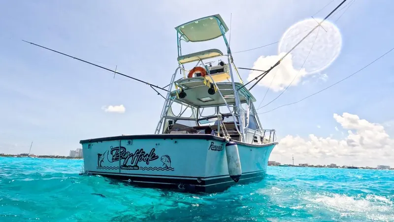 Bertram 35 ft, foto 6